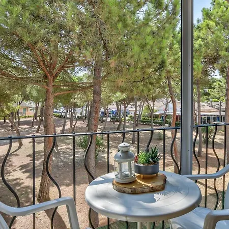 Mignon à 100m De La Plage, - 3 Personnes Appartamento Argelès-sur-Mer
